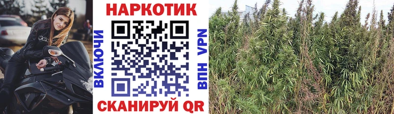Купить Каннабис  Меф  A-PVP  Гашиш  Апшеронск