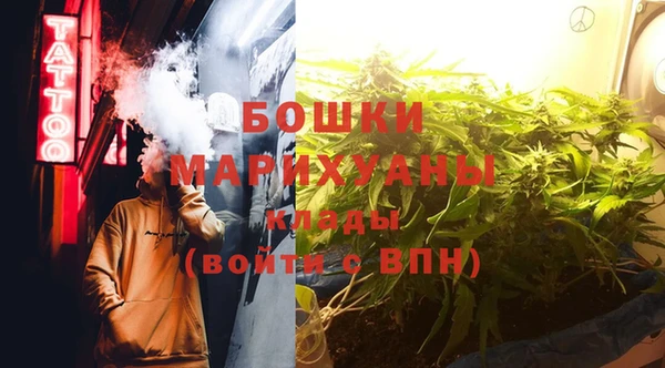 PSILOCYBIN Бронницы