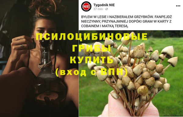 герыч Бугульма