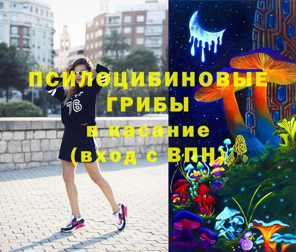 PSILOCYBIN Бронницы