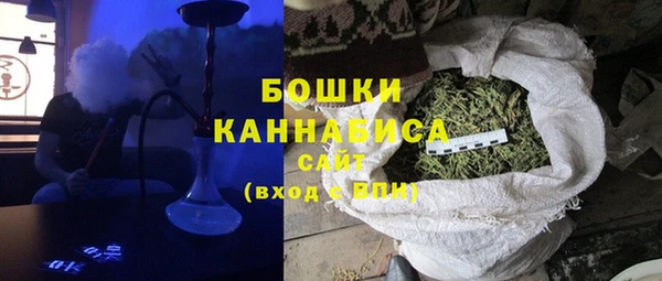 PSILOCYBIN Бронницы