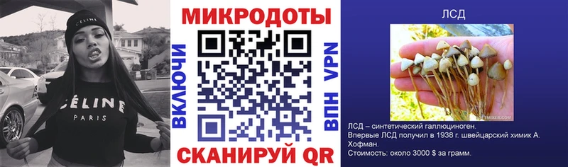 Купить где  Апшеронск  Псилоцибиновые грибы Psilocybine cubensis 